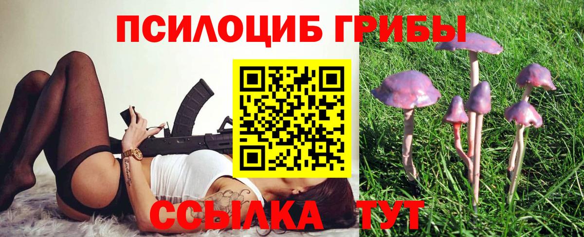 Чистополь  Псилоцибиновые грибы Magic Shrooms  Вход с VPN 