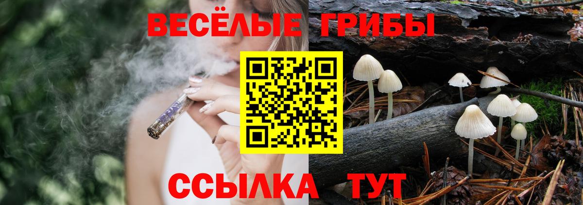 Галлюциногенные грибы Magic Shrooms Чистополь